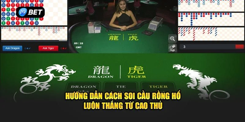 cach soi cau rong ho 2